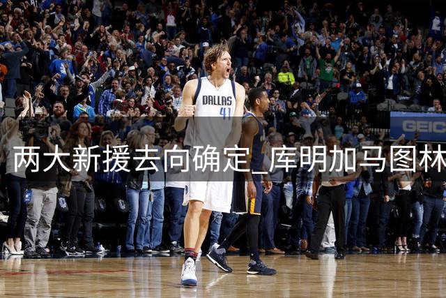 两大新援去向确定 库明加马图林分别签约森林狼鹈鹕